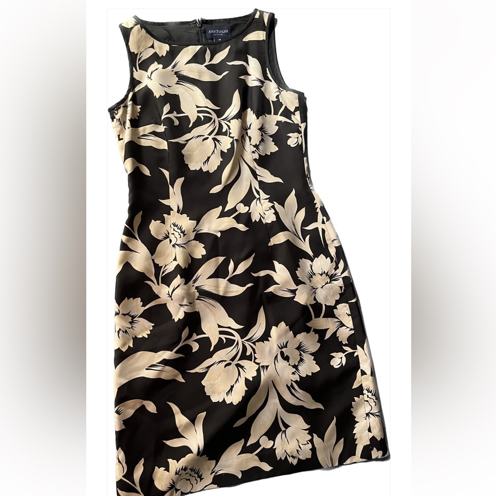 Ann Taylor silk dress